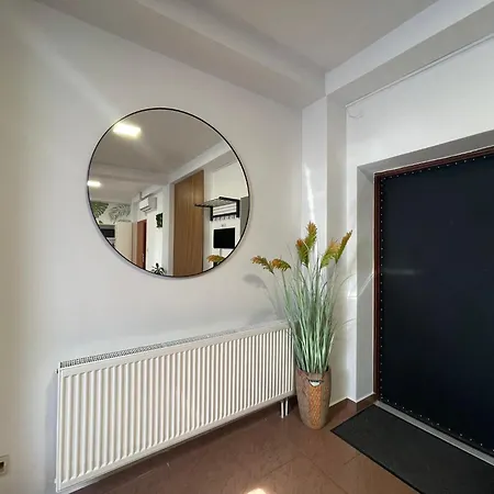 公寓 Solny Centrum 3 威利兹卡